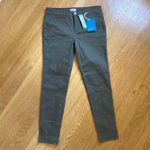 NWT Market & Spruce Rosabel skinny pant